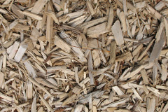 biomass boilers Llansamlet